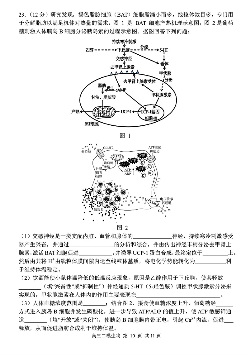 哈三中2025年高三学年第二次模拟考试生物_2025年4月_250402黑龙江省哈尔滨第三中学校2025年高三学年第二次模拟考试（全科）