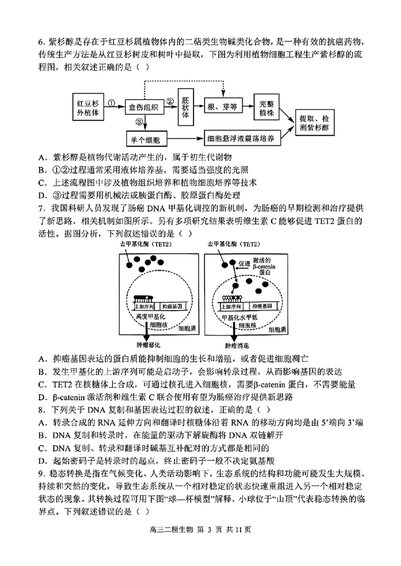 哈三中2025年高三学年第二次模拟考试生物_2025年4月_250402黑龙江省哈尔滨第三中学校2025年高三学年第二次模拟考试（全科）