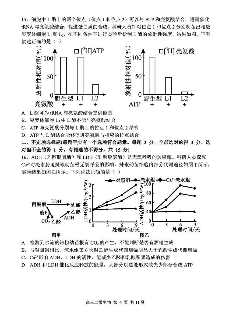 哈三中2025年高三学年第二次模拟考试生物_2025年4月_250402黑龙江省哈尔滨第三中学校2025年高三学年第二次模拟考试（全科）