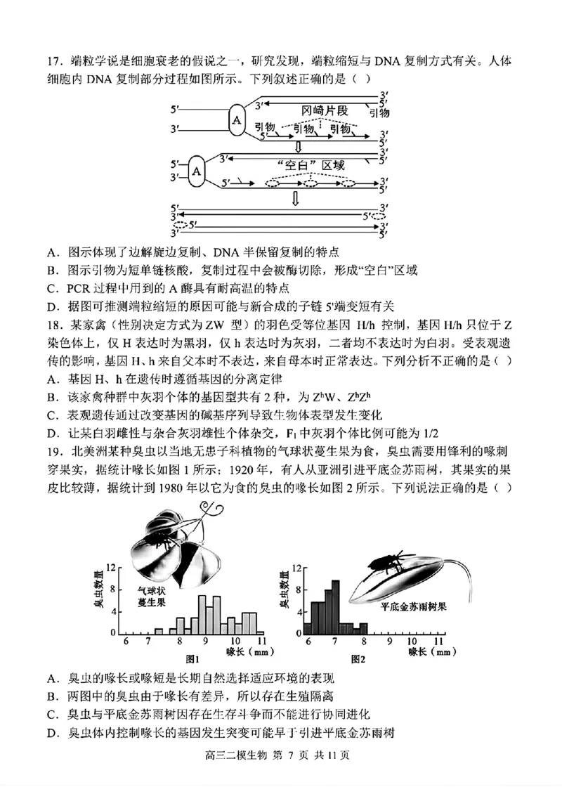哈三中2025年高三学年第二次模拟考试生物_2025年4月_250402黑龙江省哈尔滨第三中学校2025年高三学年第二次模拟考试（全科）