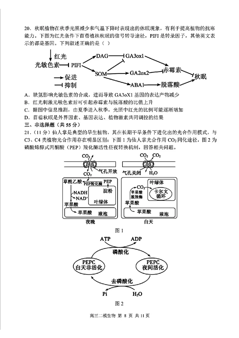哈三中2025年高三学年第二次模拟考试生物_2025年4月_250402黑龙江省哈尔滨第三中学校2025年高三学年第二次模拟考试（全科）