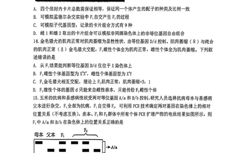 渤海大学附属高级中学2026届高三上学期第一次月考+生物_2025年10月_12026年试卷教辅资源等多个文件_251019辽宁省锦州市渤海大学附属高级中学2026届高三上学期第一次月考（全科）