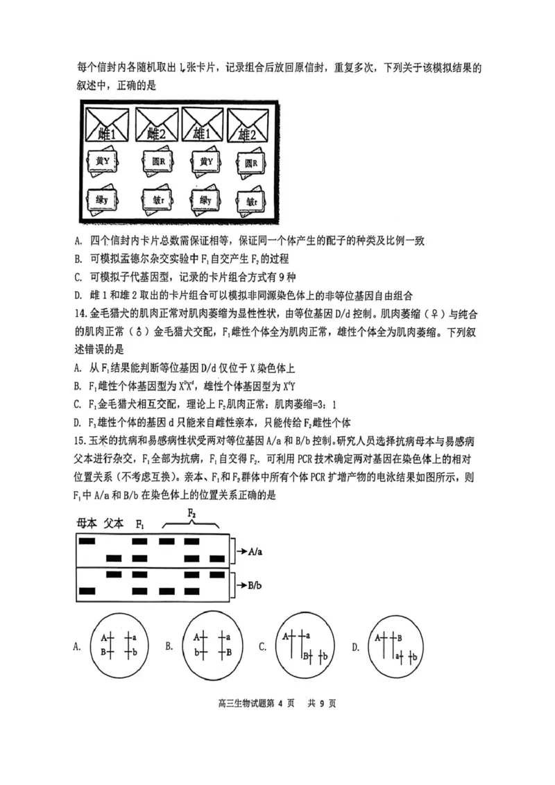 渤海大学附属高级中学2026届高三上学期第一次月考+生物_2025年10月_12026年试卷教辅资源等多个文件_251019辽宁省锦州市渤海大学附属高级中学2026届高三上学期第一次月考（全科）
