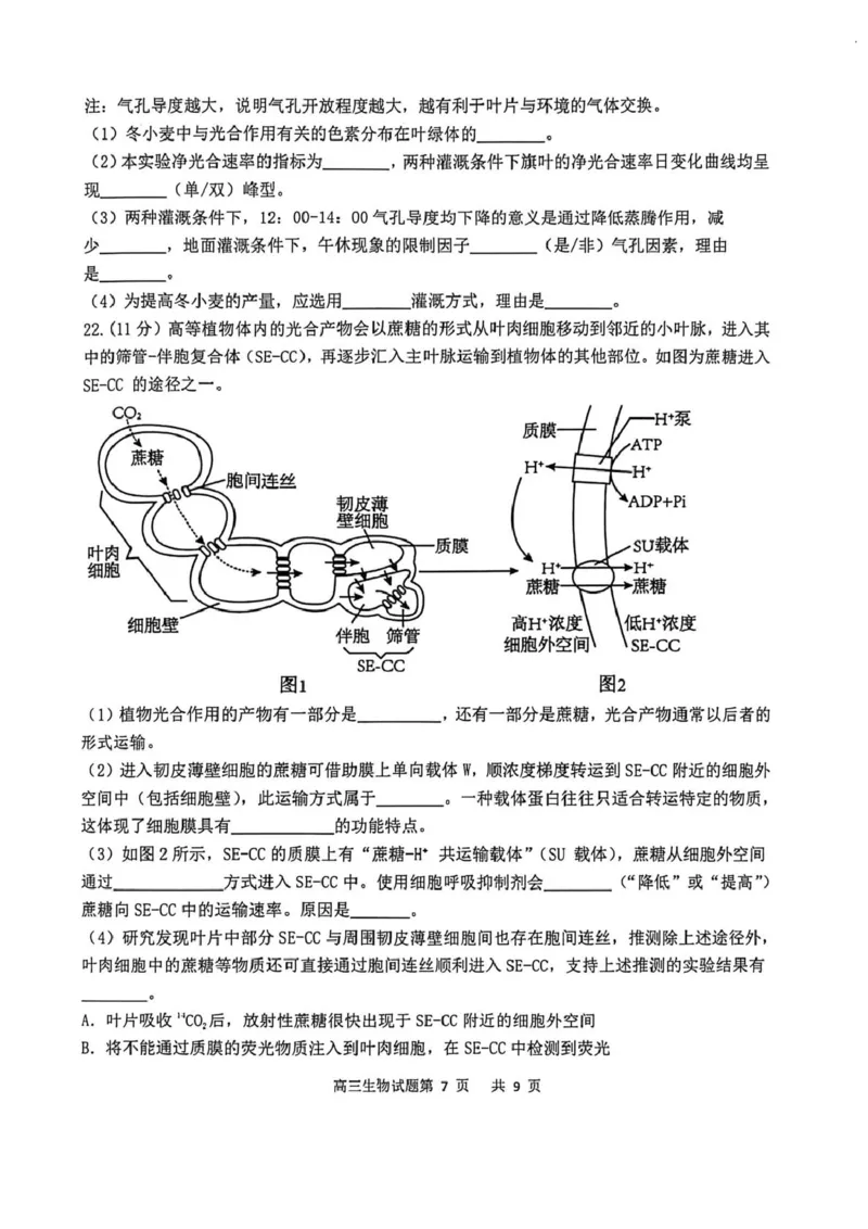 渤海大学附属高级中学2026届高三上学期第一次月考+生物_2025年10月_12026年试卷教辅资源等多个文件_251019辽宁省锦州市渤海大学附属高级中学2026届高三上学期第一次月考（全科）