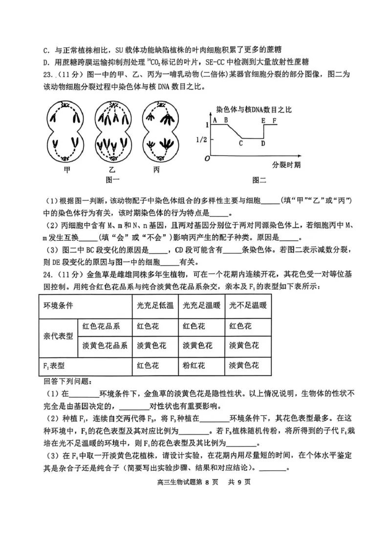 渤海大学附属高级中学2026届高三上学期第一次月考+生物_2025年10月_12026年试卷教辅资源等多个文件_251019辽宁省锦州市渤海大学附属高级中学2026届高三上学期第一次月考（全科）