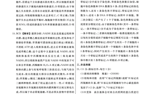 生物2025年辽宁高三9月联考答案(4)_2025年9月_250905辽宁省名校联盟2025年高三9月份联合考试（全科）_生物