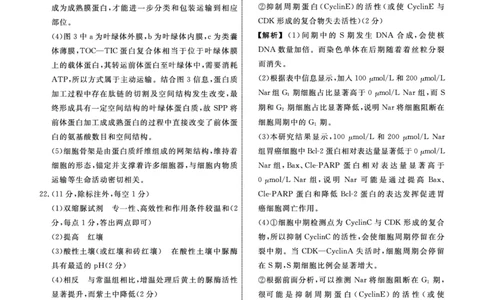 生物2025年辽宁高三9月联考答案(4)_2025年9月_250905辽宁省名校联盟2025年高三9月份联合考试（全科）_生物