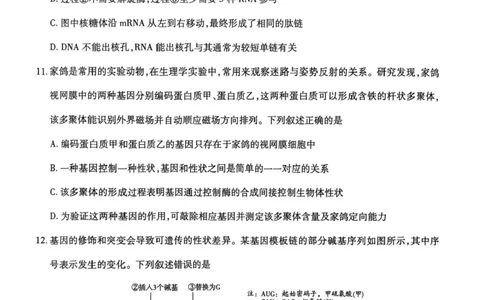海南省部分学校2025-2026学年高三上学期第二次月考生物试卷（含答案）_2025年10月_12026年试卷教辅资源等多个文件_251023海南部分学校2025-2026学年高三上学期第二次月考
