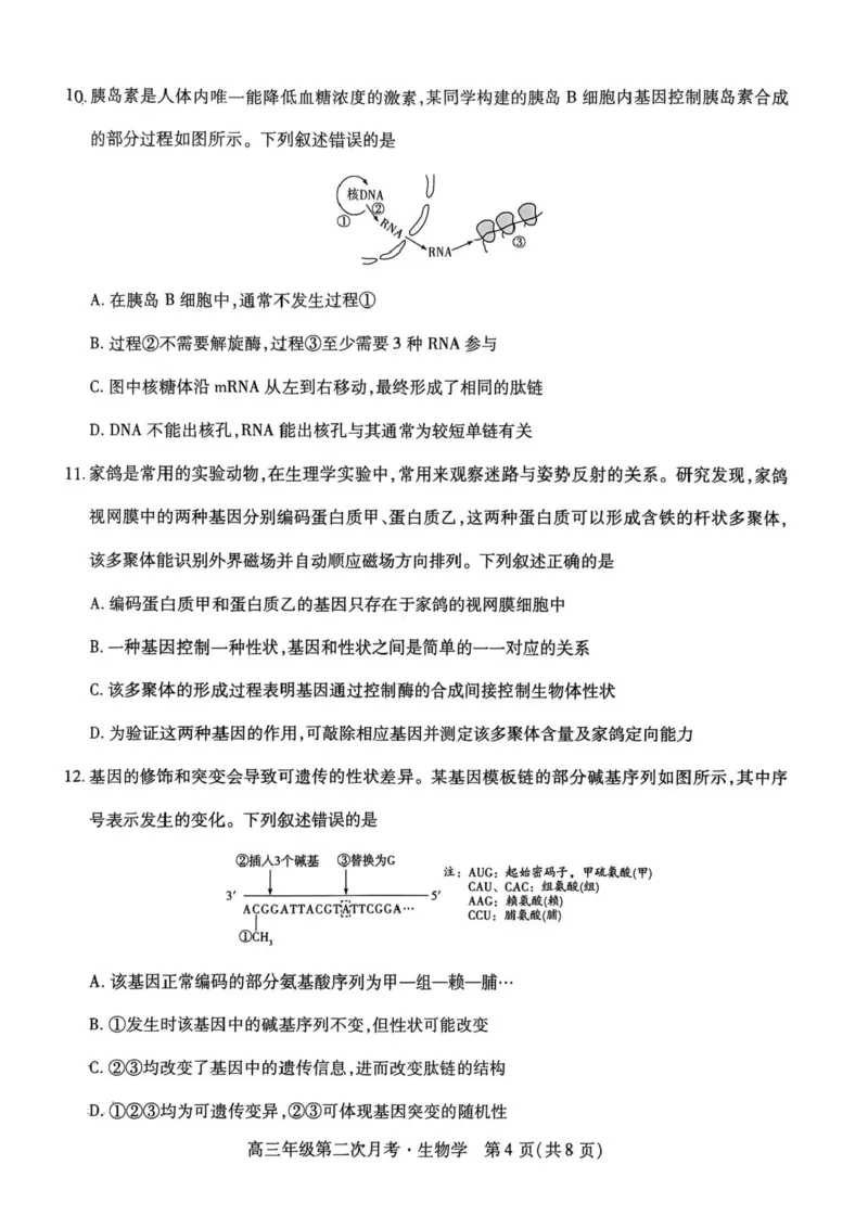 海南省部分学校2025-2026学年高三上学期第二次月考生物试卷（含答案）_2025年10月_12026年试卷教辅资源等多个文件_251023海南部分学校2025-2026学年高三上学期第二次月考