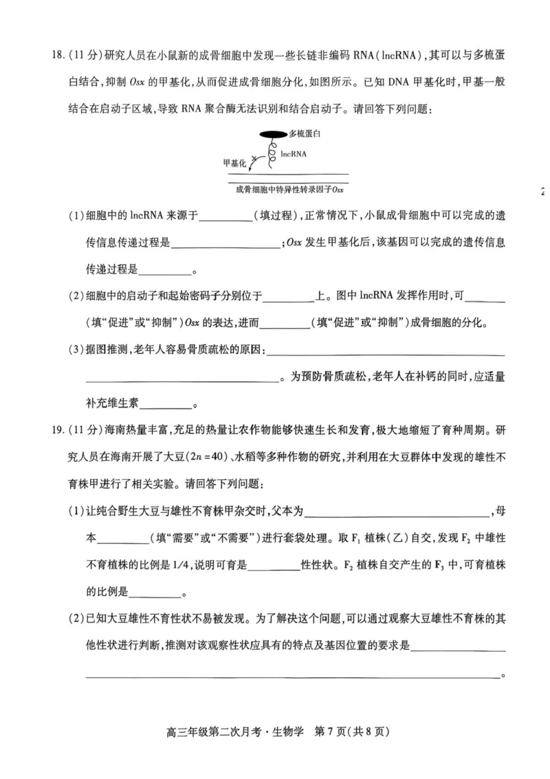 海南省部分学校2025-2026学年高三上学期第二次月考生物试卷（含答案）_2025年10月_12026年试卷教辅资源等多个文件_251023海南部分学校2025-2026学年高三上学期第二次月考