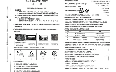 河北省金太阳2025-2026学年高三上学期9月联考化学试卷（含答案）_2025年9月_250925河北省金太阳2025-2026学年高三上学期9月联考（全科）