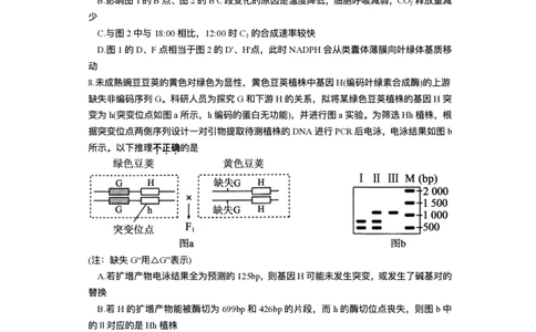 湖南省长沙市雅礼中学2025-2026学年高三上学期月考（一）生物试题（含答案）_2025年8月_250818湖南省长沙市雅礼中学2025-2026学年高三上学期月考（一）（全科）