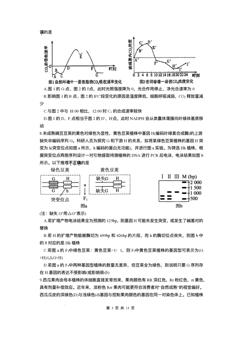 湖南省长沙市雅礼中学2025-2026学年高三上学期月考（一）生物试题（含答案）_2025年8月_250818湖南省长沙市雅礼中学2025-2026学年高三上学期月考（一）（全科）