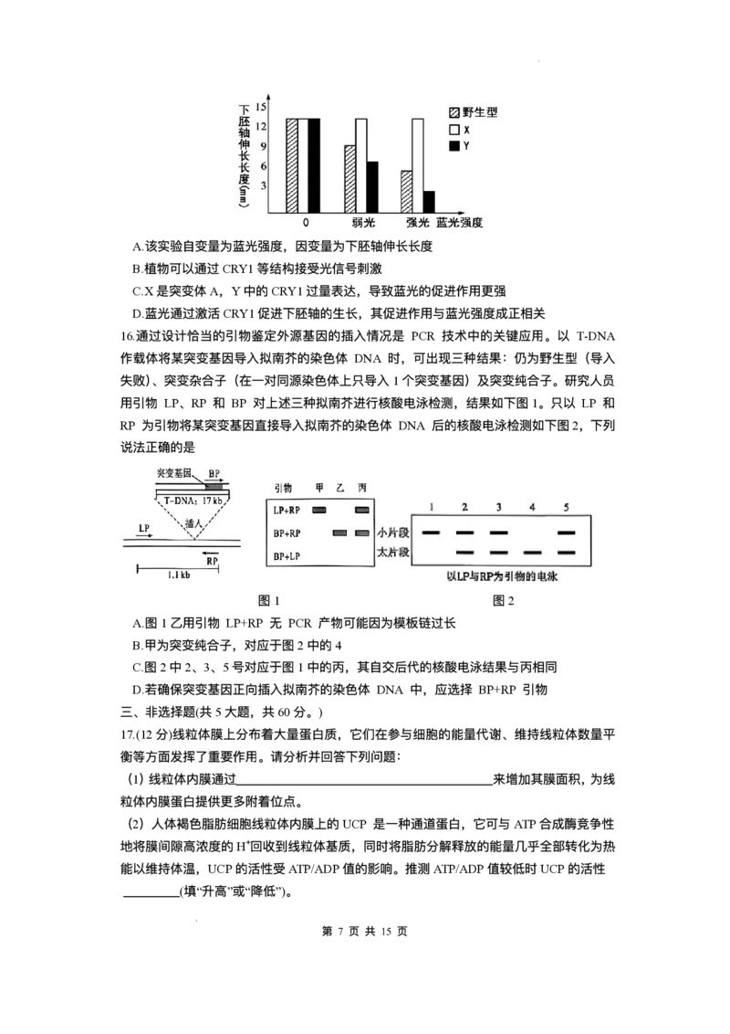 湖南省长沙市雅礼中学2025-2026学年高三上学期月考（一）生物试题（含答案）_2025年8月_250818湖南省长沙市雅礼中学2025-2026学年高三上学期月考（一）（全科）