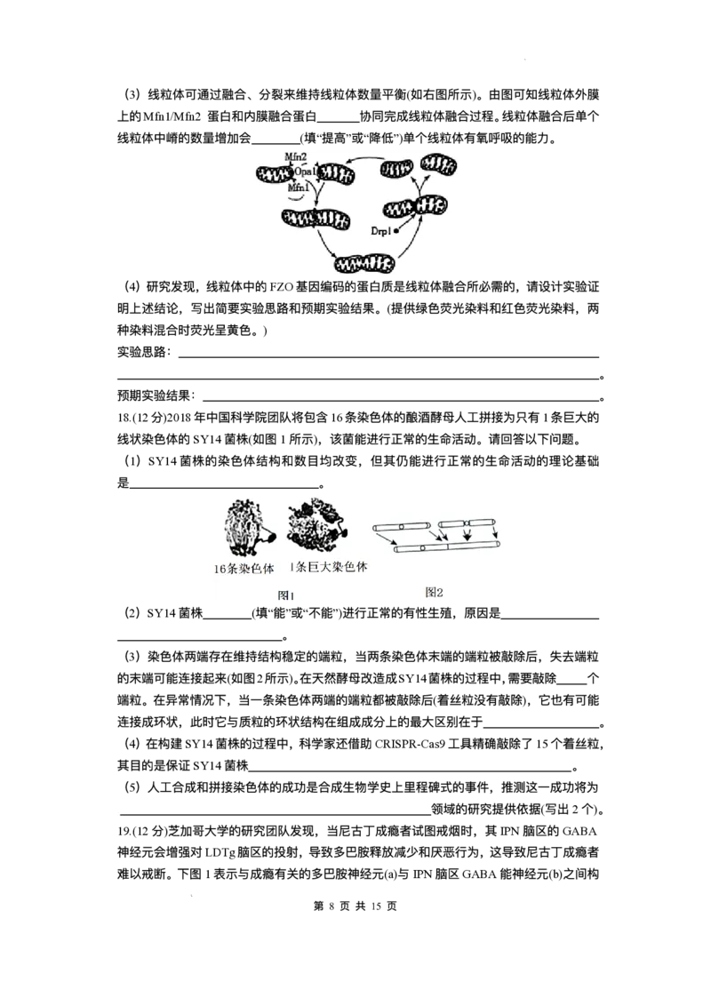 湖南省长沙市雅礼中学2025-2026学年高三上学期月考（一）生物试题（含答案）_2025年8月_250818湖南省长沙市雅礼中学2025-2026学年高三上学期月考（一）（全科）