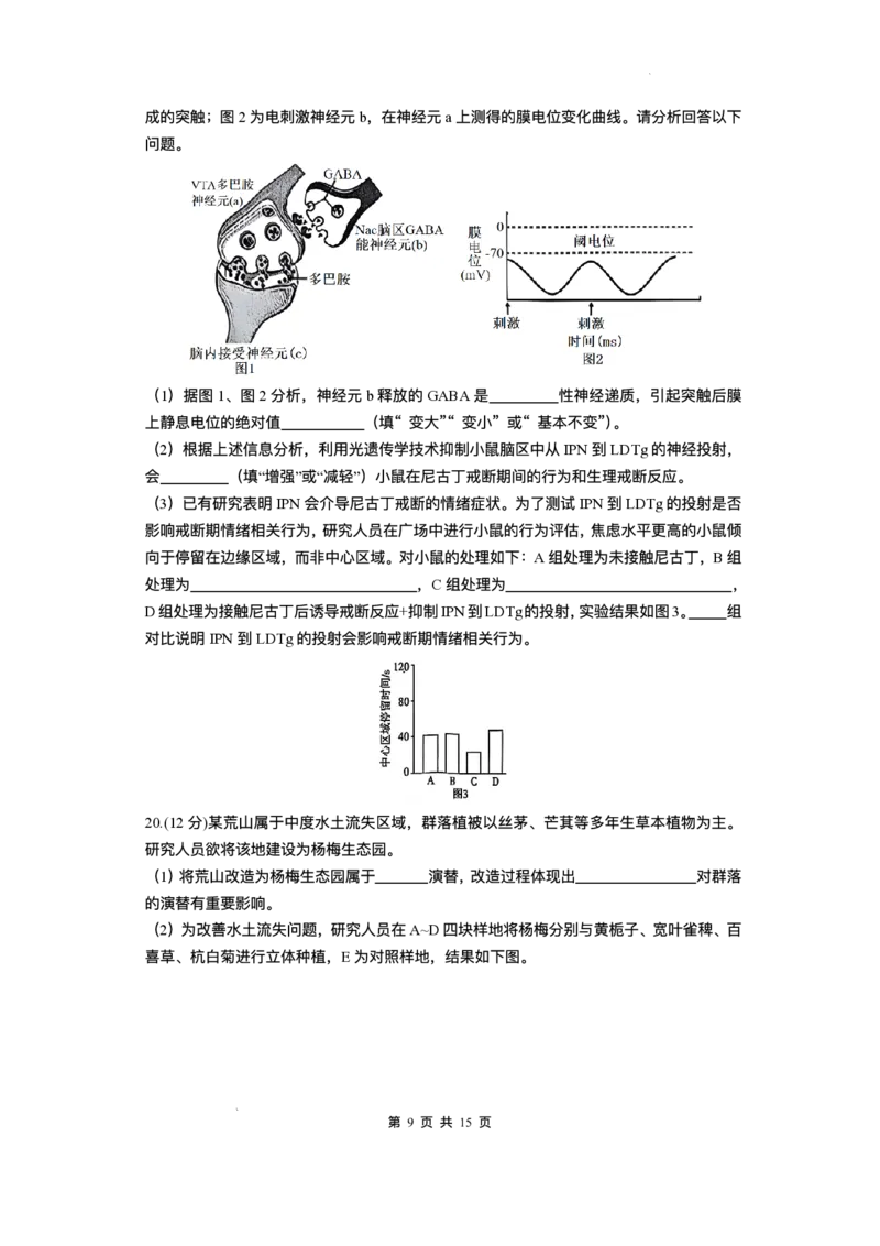 湖南省长沙市雅礼中学2025-2026学年高三上学期月考（一）生物试题（含答案）_2025年8月_250818湖南省长沙市雅礼中学2025-2026学年高三上学期月考（一）（全科）