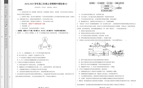 高二生物期中模拟卷02测试范围：人教版2019选必1全册（考试版A3）（新高考通用）(1)_1多考区联考_1014高二期中模拟卷（新高考通用）黄金卷：2024-2025学年高二上学期期中模拟考试