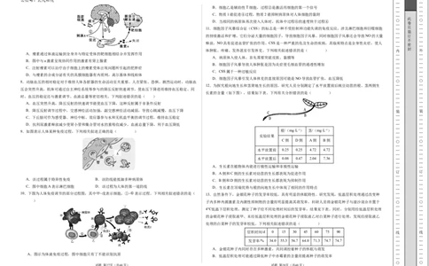 高二生物期中模拟卷02测试范围：人教版2019选必1全册（考试版A3）（新高考通用）(1)_1多考区联考_1014高二期中模拟卷（新高考通用）黄金卷：2024-2025学年高二上学期期中模拟考试