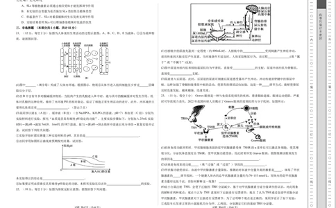 高二生物期中模拟卷02测试范围：人教版2019选必1全册（考试版A3）（新高考通用）(1)_1多考区联考_1014高二期中模拟卷（新高考通用）黄金卷：2024-2025学年高二上学期期中模拟考试
