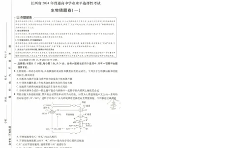 2024《金考卷&middot;高考测评卷》生物A4_2024高考押题卷_12024天星全系列_（新高考）2024《金K卷&middot;高考测评&middot;猜题卷》（语数英）各九套_2024《金考卷&middot;高考测评卷&middot;猜题卷》生物
