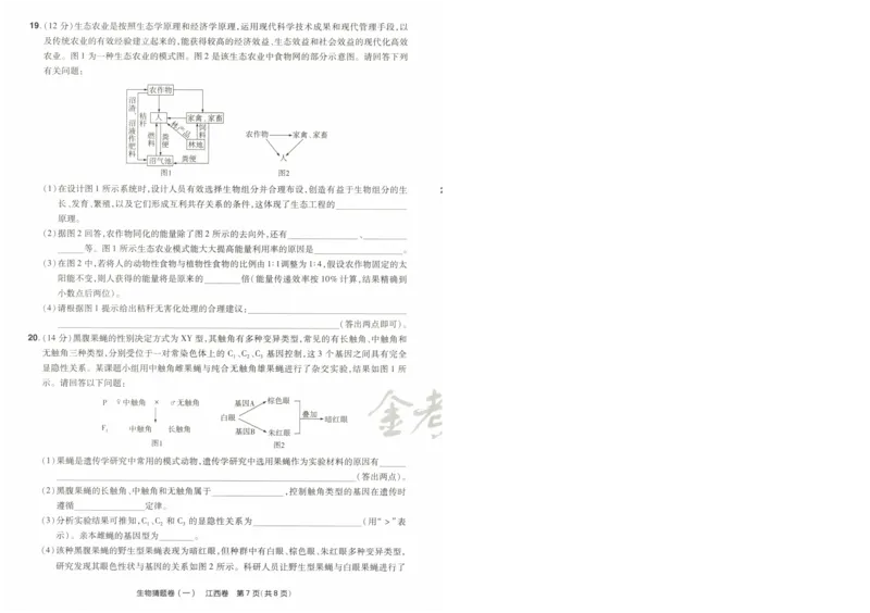 2024《金考卷&middot;高考测评卷》生物A4_2024高考押题卷_12024天星全系列_（新高考）2024《金K卷&middot;高考测评&middot;猜题卷》（语数英）各九套_2024《金考卷&middot;高考测评卷&middot;猜题卷》生物