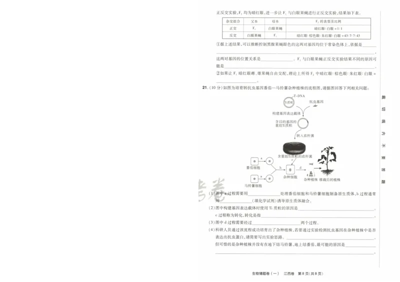 2024《金考卷&middot;高考测评卷》生物A4_2024高考押题卷_12024天星全系列_（新高考）2024《金K卷&middot;高考测评&middot;猜题卷》（语数英）各九套_2024《金考卷&middot;高考测评卷&middot;猜题卷》生物