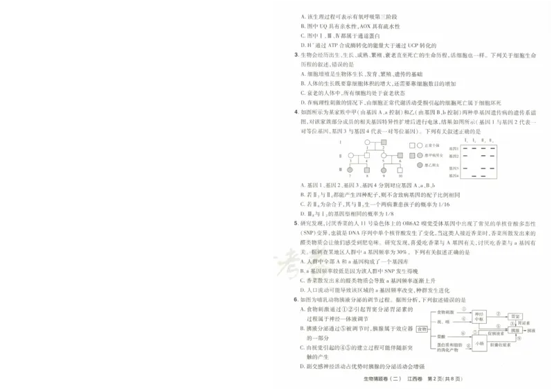 2024《金考卷&middot;高考测评卷》生物A4_2024高考押题卷_12024天星全系列_（新高考）2024《金K卷&middot;高考测评&middot;猜题卷》（语数英）各九套_2024《金考卷&middot;高考测评卷&middot;猜题卷》生物