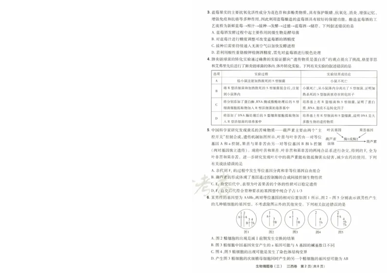 2024《金考卷&middot;高考测评卷》生物A4_2024高考押题卷_12024天星全系列_（新高考）2024《金K卷&middot;高考测评&middot;猜题卷》（语数英）各九套_2024《金考卷&middot;高考测评卷&middot;猜题卷》生物