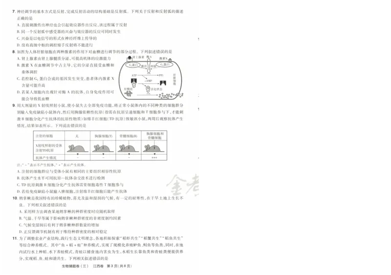 2024《金考卷&middot;高考测评卷》生物A4_2024高考押题卷_12024天星全系列_（新高考）2024《金K卷&middot;高考测评&middot;猜题卷》（语数英）各九套_2024《金考卷&middot;高考测评卷&middot;猜题卷》生物
