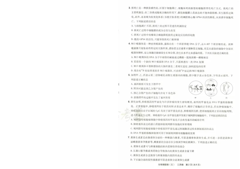 2024《金考卷&middot;高考测评卷》生物A4_2024高考押题卷_12024天星全系列_（新高考）2024《金K卷&middot;高考测评&middot;猜题卷》（语数英）各九套_2024《金考卷&middot;高考测评卷&middot;猜题卷》生物