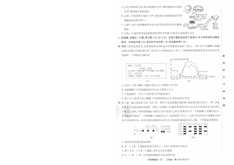 2024《金考卷&middot;高考测评卷》生物A4_2024高考押题卷_12024天星全系列_（新高考）2024《金K卷&middot;高考测评&middot;猜题卷》（语数英）各九套_2024《金考卷&middot;高考测评卷&middot;猜题卷》生物
