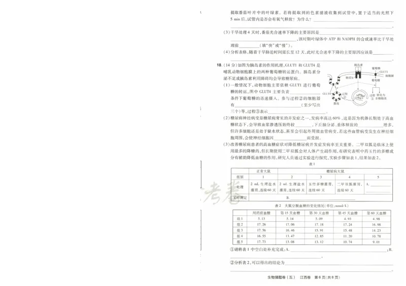2024《金考卷&middot;高考测评卷》生物A4_2024高考押题卷_12024天星全系列_（新高考）2024《金K卷&middot;高考测评&middot;猜题卷》（语数英）各九套_2024《金考卷&middot;高考测评卷&middot;猜题卷》生物