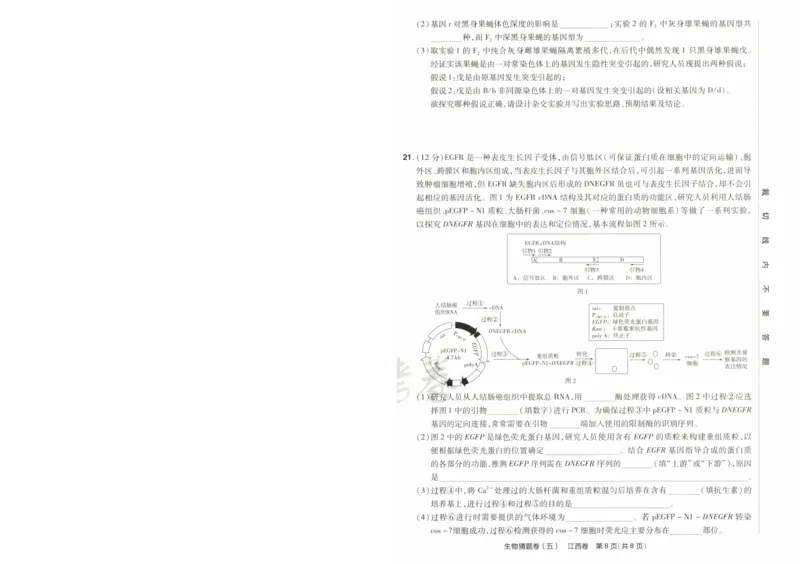 2024《金考卷&middot;高考测评卷》生物A4_2024高考押题卷_12024天星全系列_（新高考）2024《金K卷&middot;高考测评&middot;猜题卷》（语数英）各九套_2024《金考卷&middot;高考测评卷&middot;猜题卷》生物