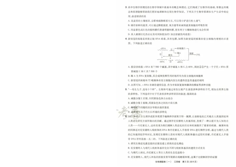 2024《金考卷&middot;高考测评卷》生物A4_2024高考押题卷_12024天星全系列_（新高考）2024《金K卷&middot;高考测评&middot;猜题卷》（语数英）各九套_2024《金考卷&middot;高考测评卷&middot;猜题卷》生物