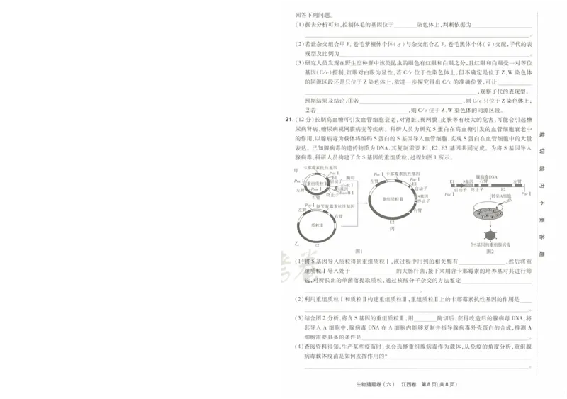 2024《金考卷&middot;高考测评卷》生物A4_2024高考押题卷_12024天星全系列_（新高考）2024《金K卷&middot;高考测评&middot;猜题卷》（语数英）各九套_2024《金考卷&middot;高考测评卷&middot;猜题卷》生物