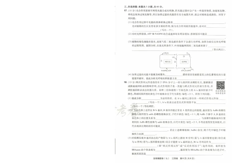 2024《金考卷&middot;高考测评卷》生物A4_2024高考押题卷_12024天星全系列_（新高考）2024《金K卷&middot;高考测评&middot;猜题卷》（语数英）各九套_2024《金考卷&middot;高考测评卷&middot;猜题卷》生物