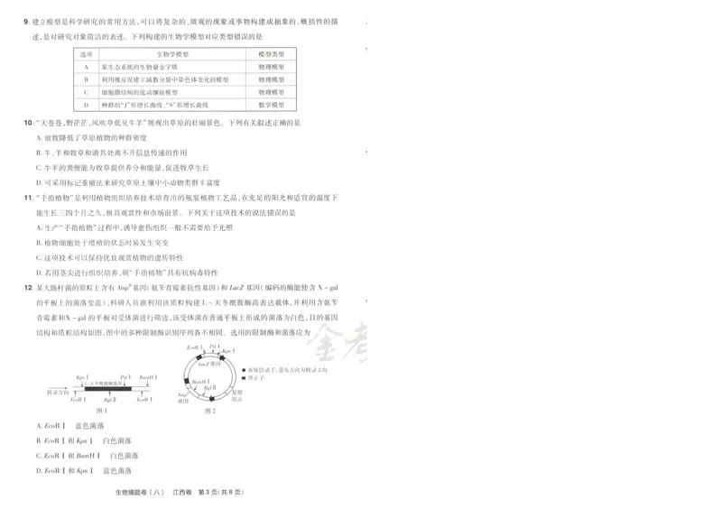2024《金考卷&middot;高考测评卷》生物A4_2024高考押题卷_12024天星全系列_（新高考）2024《金K卷&middot;高考测评&middot;猜题卷》（语数英）各九套_2024《金考卷&middot;高考测评卷&middot;猜题卷》生物