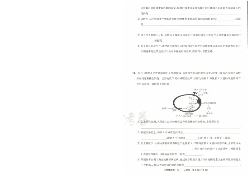 2024《金考卷&middot;高考测评卷》生物A4_2024高考押题卷_12024天星全系列_（新高考）2024《金K卷&middot;高考测评&middot;猜题卷》（语数英）各九套_2024《金考卷&middot;高考测评卷&middot;猜题卷》生物