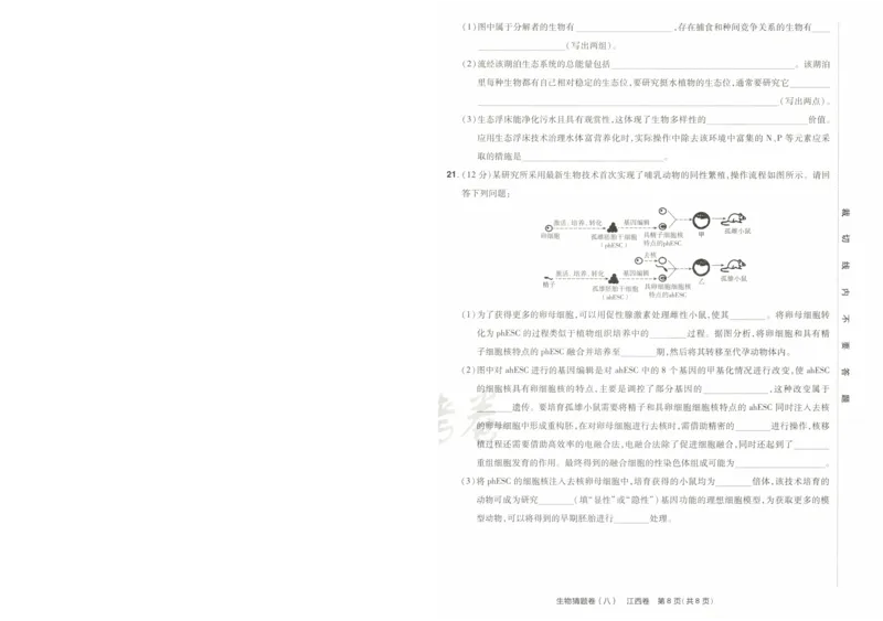 2024《金考卷&middot;高考测评卷》生物A4_2024高考押题卷_12024天星全系列_（新高考）2024《金K卷&middot;高考测评&middot;猜题卷》（语数英）各九套_2024《金考卷&middot;高考测评卷&middot;猜题卷》生物