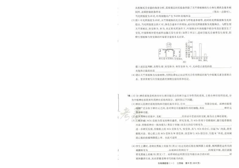 2024《金考卷&middot;高考测评卷》生物A4_2024高考押题卷_12024天星全系列_（新高考）2024《金K卷&middot;高考测评&middot;猜题卷》（语数英）各九套_2024《金考卷&middot;高考测评卷&middot;猜题卷》生物