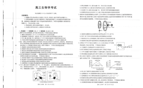 生物试卷_2025年10月_12026年试卷教辅资源等多个文件_251030金太阳&middot;广西省2026届高三上学期10月联考（26-72C）_金太阳&middot;广西省2026届高三上学期10月联考生物