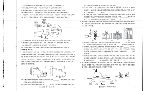生物试卷_2025年10月_12026年试卷教辅资源等多个文件_251030金太阳&middot;广西省2026届高三上学期10月联考（26-72C）_金太阳&middot;广西省2026届高三上学期10月联考生物