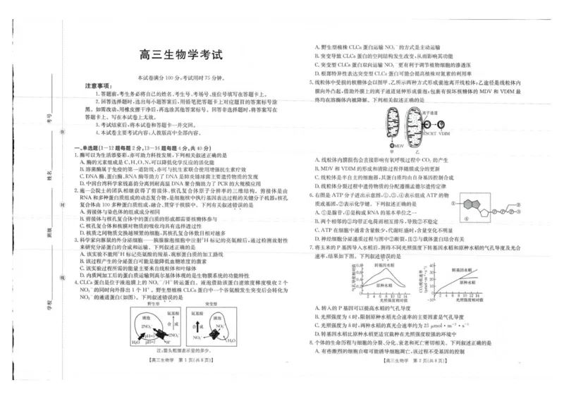 生物试卷_2025年10月_12026年试卷教辅资源等多个文件_251030金太阳&middot;广西省2026届高三上学期10月联考（26-72C）_金太阳&middot;广西省2026届高三上学期10月联考生物