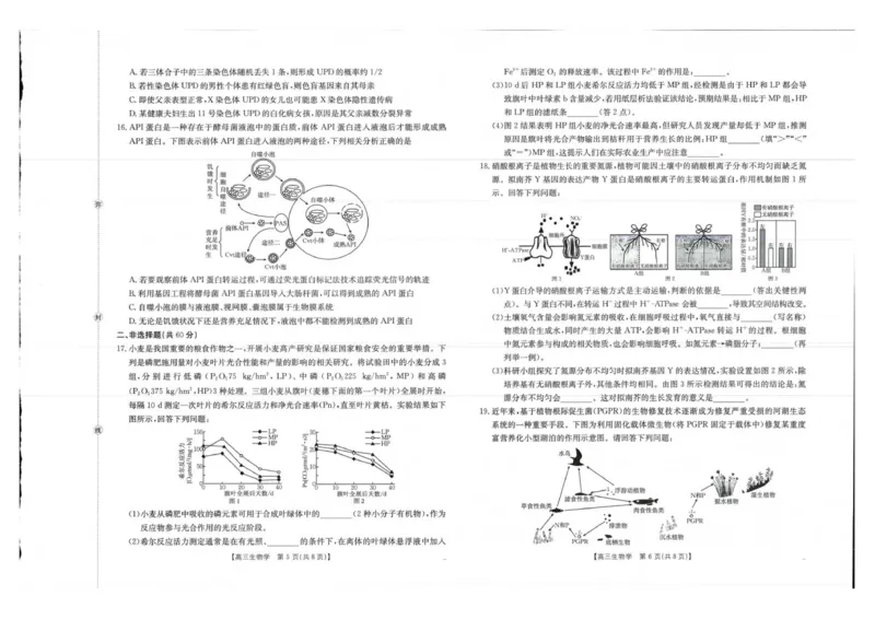生物试卷_2025年10月_12026年试卷教辅资源等多个文件_251030金太阳&middot;广西省2026届高三上学期10月联考（26-72C）_金太阳&middot;广西省2026届高三上学期10月联考生物
