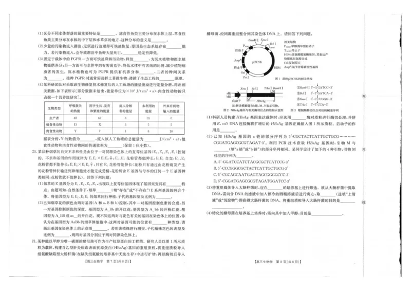 生物试卷_2025年10月_12026年试卷教辅资源等多个文件_251030金太阳&middot;广西省2026届高三上学期10月联考（26-72C）_金太阳&middot;广西省2026届高三上学期10月联考生物