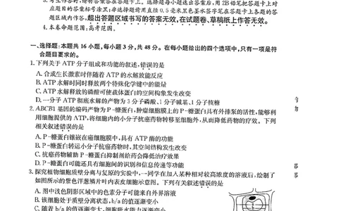 山西省三晋卓越联盟2025届高三3月联考（25-L-540C）生物+答案_2025年3月_250307山西省三晋卓越联盟2025届高三3月联考（25-L-540C）（全科）