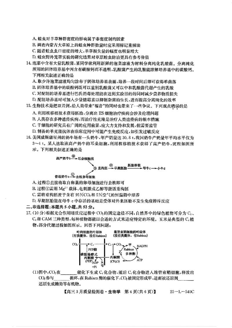 山西省三晋卓越联盟2025届高三3月联考（25-L-540C）生物+答案_2025年3月_250307山西省三晋卓越联盟2025届高三3月联考（25-L-540C）（全科）