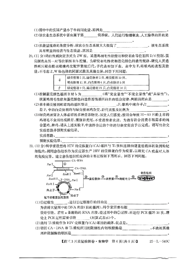 山西省三晋卓越联盟2025届高三3月联考（25-L-540C）生物+答案_2025年3月_250307山西省三晋卓越联盟2025届高三3月联考（25-L-540C）（全科）
