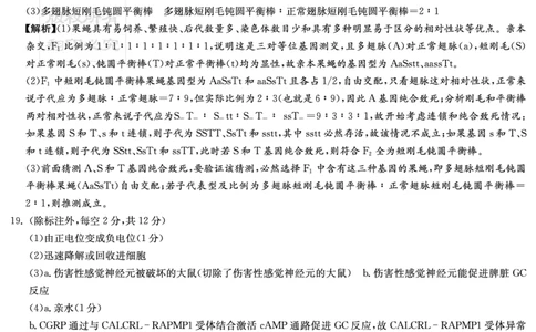 湖南省2025届高三九校联盟第二次联考生物答案_2025年3月_250315湖南省九校联盟2025届高三下学期第二次联考（全科）_湖南省九校联盟2025届高三下学期第二次联考生物