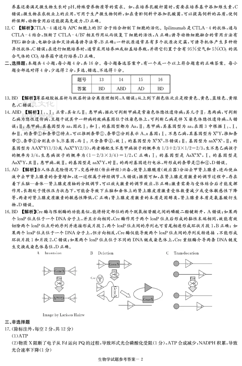 湖南省2025届高三九校联盟第二次联考生物答案_2025年3月_250315湖南省九校联盟2025届高三下学期第二次联考（全科）_湖南省九校联盟2025届高三下学期第二次联考生物